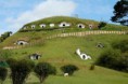 /album/eco-villa/hobbiton-sheep-5-jpg/